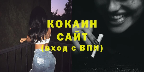 соль ск Алексин