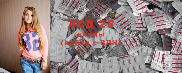 ECSTASY Алзамай