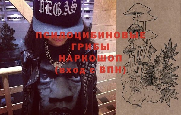 соль ск Алексин
