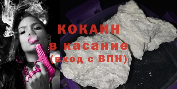 соль ск Алексин