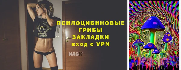 ECSTASY Алзамай