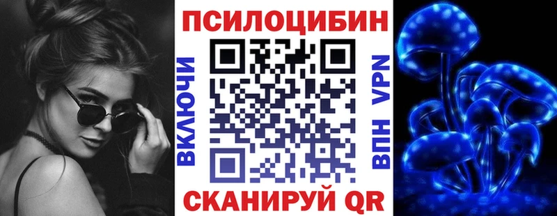 Галлюциногенные грибы Psilocybine cubensis  цены   Муравленко 